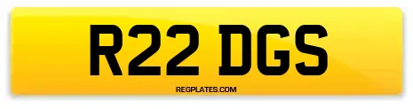 R22 DGS