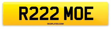 R222 MOE