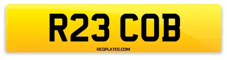 R23 COB