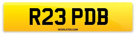 R23 PDB