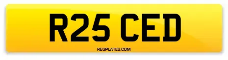 R25 CED