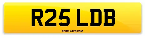 R25 LDB