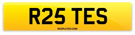 R25 TES