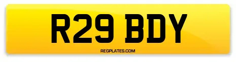R29 BDY