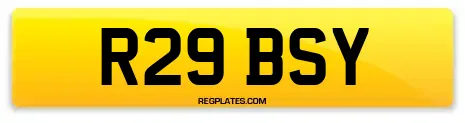 R29 BSY