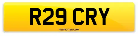 R29 CRY