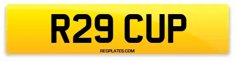 R29 CUP