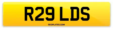 R29 LDS