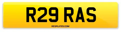 R29 RAS