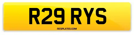 R29 RYS
