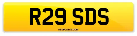 R29 SDS