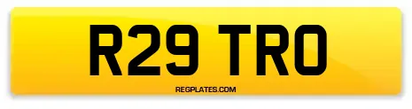 R29 TRO