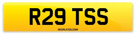 R29 TSS