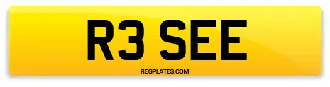R3 SEE