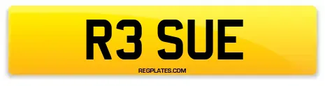 R3 SUE