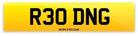 R30 DNG