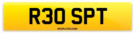 R30 SPT