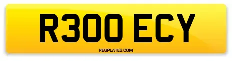 R300 ECY