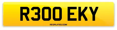 R300 EKY