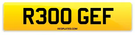 R300 GEF