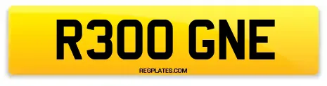 R300 GNE