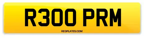R300 PRM