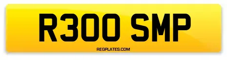 R300 SMP