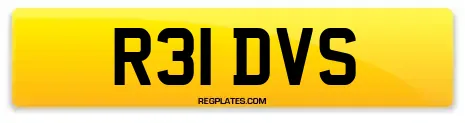 R31 DVS