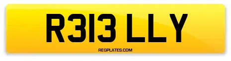 R313 LLY