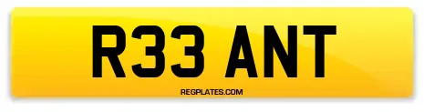 R33 ANT