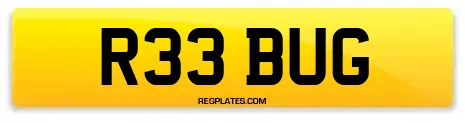 R33 BUG