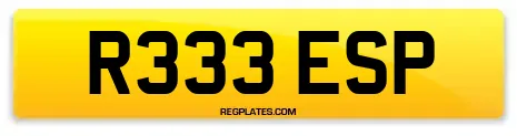 R333 ESP