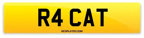 R4 CAT