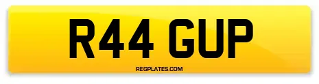 R44 GUP