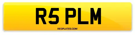 R5 PLM