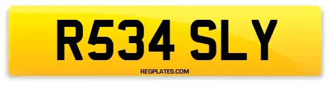 R534 SLY