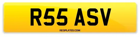 R55 ASV