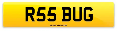 R55 BUG