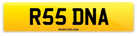 R55 DNA