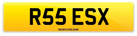 R55 ESX