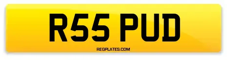 R55 PUD
