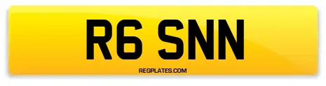 R6 SNN