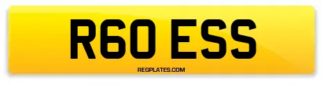 R60 ESS