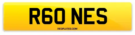 R60 NES