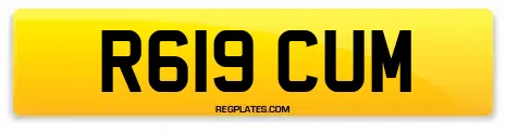 R619 CUM
