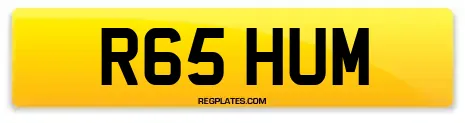 R65 HUM