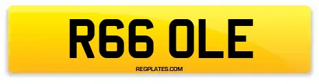 R66 OLE