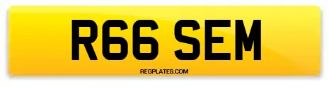 R66 SEM