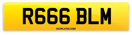 R666 BLM