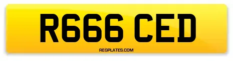 R666 CED